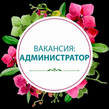 Администратор в клуб