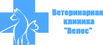 Администратор ветклиники